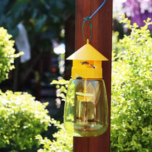 Outdoor Hanging Fruit Fly and Wasp Trap
