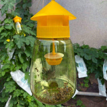 Outdoor Hanging Fruit Fly and Wasp Trap