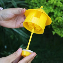 Outdoor Hanging Fruit Fly and Wasp Trap