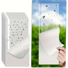 Clear Window Fly Traps