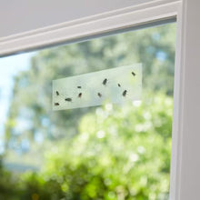 Clear Window Fly Traps