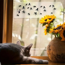 Clear Window Fly Traps