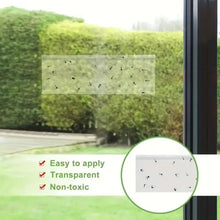 Clear Window Fly Traps
