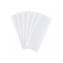 Clear Window Fly Traps