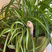 Whimsical Earthworm Garden Decor Stakes