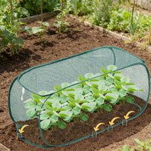 Foldable Pop-Up Garden Plant Protector Bird Netting Tent