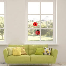 Ladybug Adhesive Window Fly and Insect Traps