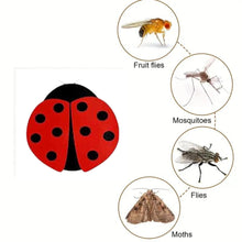 Ladybug Adhesive Window Fly and Insect Traps