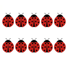 Ladybug Adhesive Window Fly and Insect Traps