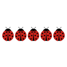Ladybug Adhesive Window Fly and Insect Traps