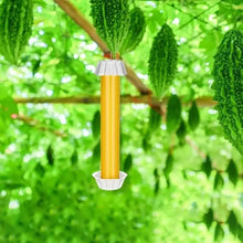 Hanging Cylindrical Sticky Fly and Insect Trap
