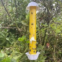 Hanging Cylindrical Sticky Fly and Insect Trap