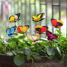 Decorative Garden Butterflies