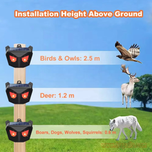 Solar Powered Outdoor Animal Repellent