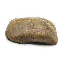 Fake Rock Spare Key Outdoor Hiding Place