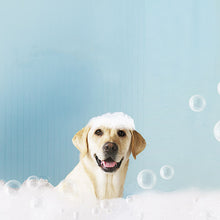 Automatic Foaming Pet Shampoo Brush Scrubber