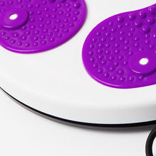 Fitness Twist Waist Disc Board