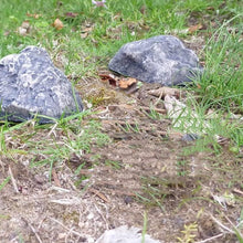 Fake Rock Spare Key Outdoor Hiding Place