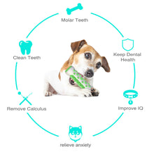 Bone Shaped Rod Molars Cleaning Pet Chewing Toy Toothbrush