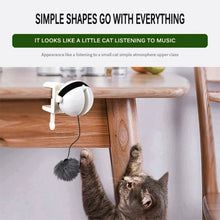 Interactive Pet Cat Toy