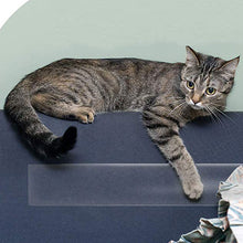 Cat Scratch Guard Mat