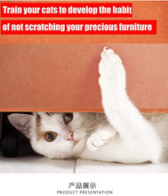 Cat Scratch Guard Mat