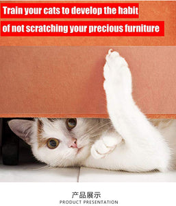 Cat Scratch Guard Mat