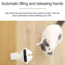 Interactive Pet Cat Toy