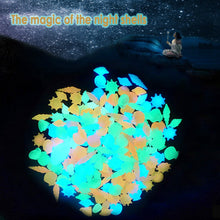 Luminous Glowing Shell Shaped Stones