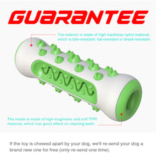 Bone Shaped Rod Molars Cleaning Pet Chewing Toy Toothbrush