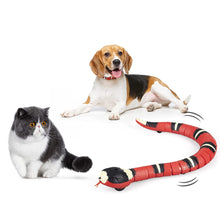 Electronic Snake Interactive Toys for Pets