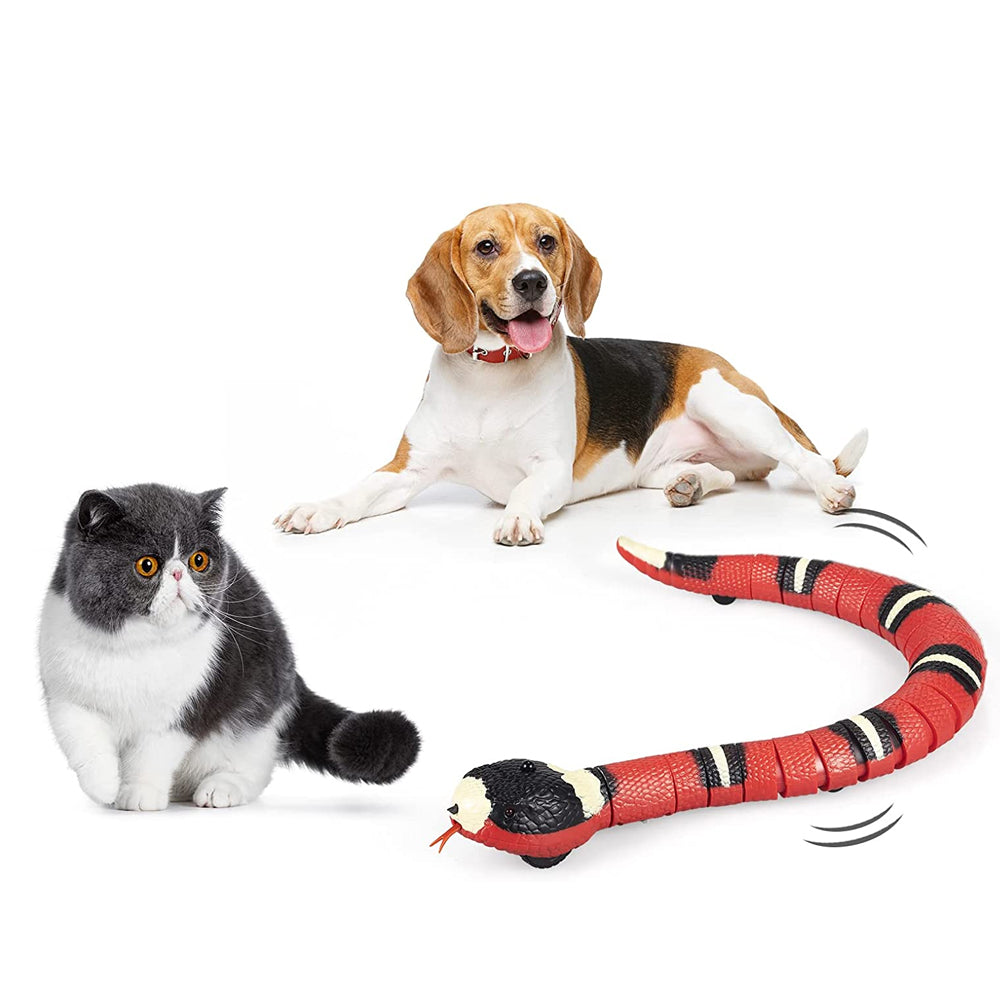 Electronic Snake Interactive Toys for Pets