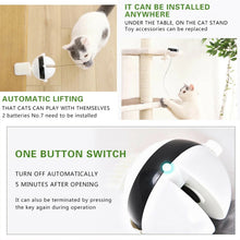 Interactive Pet Cat Toy