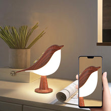 Creative Magpie Aroma Lamps