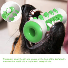 Bone Shaped Rod Molars Cleaning Pet Chewing Toy Toothbrush