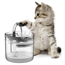 Pet Water Fountain Filter Drinker