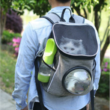 Portable Drinking Water Feeder Bowl
