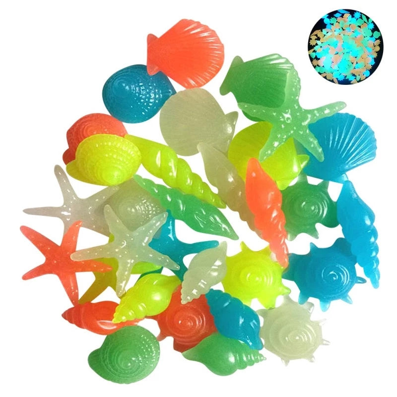 Luminous Glowing Shell Shaped Stones