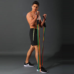 EXERCISE RESISTANCE BANDS SET (11PCS OR 16 PCS)