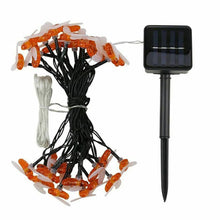 Outdoor Solar Honeybee Fairy Light