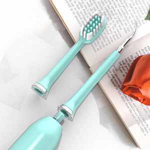 Electric Toothbrush and Dental Scaler