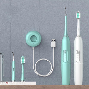 Electric Toothbrush and Dental Scaler