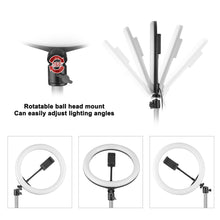 26cm Dual-Device Mount LED Fill Ring Light_8