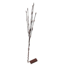 Battery Operated 20 LED Decorative Nordic Willow Branch Light_1
