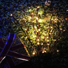 Battery Operated 20 LED Decorative Nordic Willow Branch Light_14