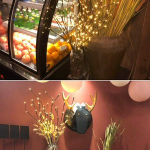 Battery Operated 20 LED Decorative Nordic Willow Branch Light_15