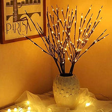 Battery Operated 20 LED Decorative Nordic Willow Branch Light_16