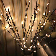 Battery Operated 20 LED Decorative Nordic Willow Branch Light_5