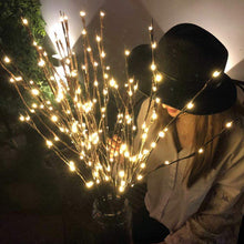 Battery Operated 20 LED Decorative Nordic Willow Branch Light_10