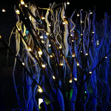 Battery Operated 20 LED Decorative Nordic Willow Branch Light_13